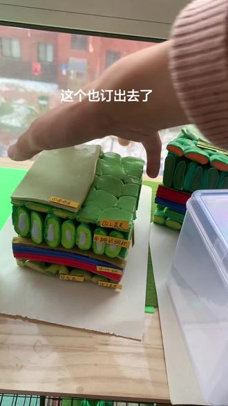 #叶片#生物#叶片组织结构模型 成品展示 叶片的内部解剖模型 超轻粘土手工制作