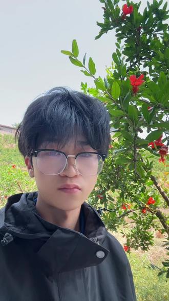 石榴花期防病关键!吡唑醚菌酯丙森锌,护花保果两不误!#三农 #助力果农 #石榴#石榴跳斑 #诺普信在会理