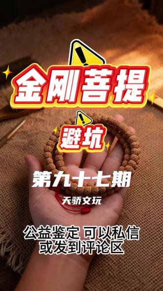 大小金刚,公益鉴定,只看串子,不做估价#金刚菩提 #金刚菩提手串 #小金刚菩提 #金刚菩提鉴定 #金刚菩提盘玩方法