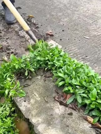 #清洁铲 #墙皮铲 #猪圈清理 #河道清理 #助力三农