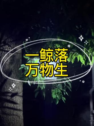 奇然你先别唱了ಥ_ಥ
陆沨心在滴血啊,亲眼看着爱人消逝,那些未曾出口的爱意,都凝结在眼泪里了 #小蘑菇第二季 #广播剧 #安折 #陆沨 #猫耳FM
