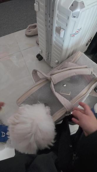 布点到家Vlog︱带小狗坐顺风车回家过年
第一次带小狗坐顺风车回家,350公里用时4个小时~遇到的车主人特别好,建议大家第一次带小狗坐长途车禁食禁水,减少小狗晕车呕吐的症状🐶
#携宠出游 #带狗狗回家过年 #顺风车 #家有萌宠过大年 #vlog @抖音小助手 @抖音创作小助手 @DOU+小助手