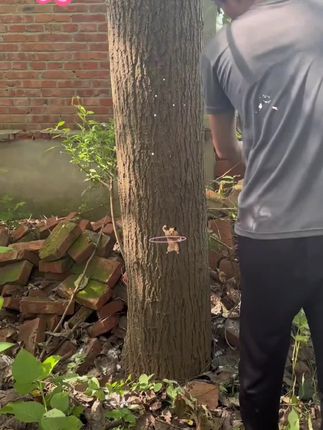 #除草#三农#除杂草
