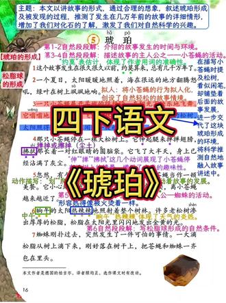四下语文《琥珀》#四下语文#课堂笔记#课文预习