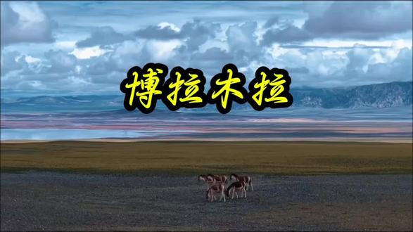 给大家看看<生命树>里博拉木拉无人区中多杰与白菊保护的藏羚羊#博拉木拉#藏羚羊#生命树#时常被生命树感动