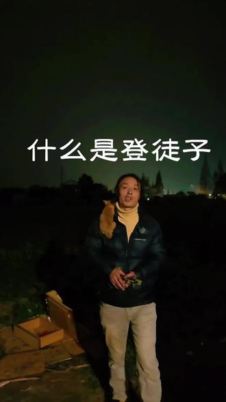 什么是登徒子#人生感悟 #情感共鸣 #农村生活