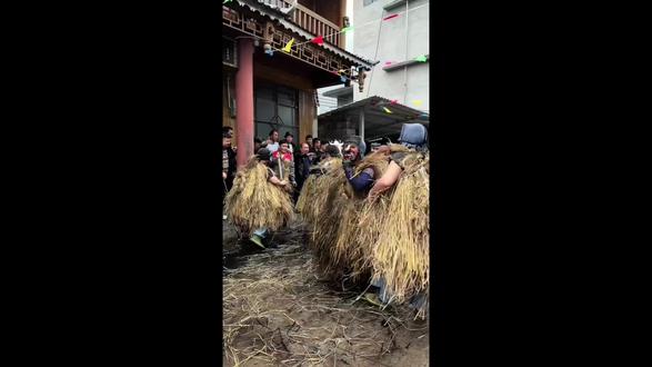 大年初七“吉曼”苗寨最热闹的“芒篙节”来了!#芒篙节 #少数民族文化 #苗族文化 #吉曼中国芒篙之乡#民族特色民族文化