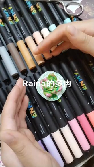 Raina的多肉#手工