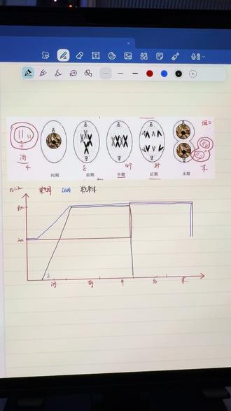 生物老师
讲解有丝分裂#生物老师#网课#高中生物#生物金老师#生物