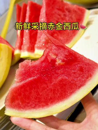#快来一起来尝个鲜 这个黄皮赤金西瓜🍉你吃过吗?果肉脆嫩甜度很高,沙脆爽口,比一般的西瓜更沙脆更清甜,赶快囤回去,送礼🎁自己吃非常喜欢#梦中情瓜 #西瓜🍉 #新鲜采摘 #赤金西瓜