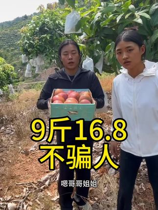 #凯特芒