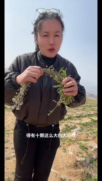 老荠菜的妙用 连根的荠菜捆上生姜片,再加半碗糯米,慢火熬粥,等到米油凝成胶质,裹住植物精华就可以了。每天早晨起来空腹喝一碗,喝个三天,舌苔的白腻就退掉了。喝上七天,关节像抹了油一样。老祖宗称它为地气精华汤,湿气重的姐妹一定要试一试。#老荠菜 #正能量传递 #除湿粥 #湿气重怎么办 #沂蒙山