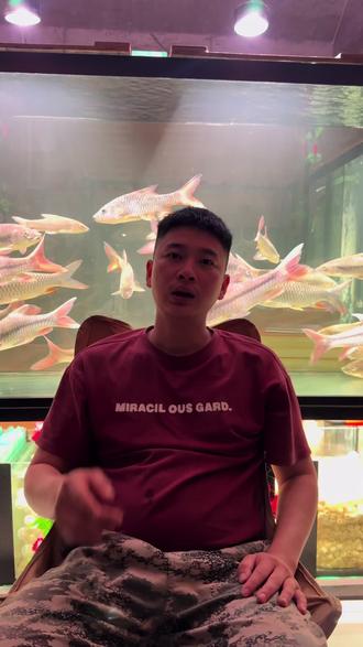 版纳十年遇到的第二场冰雹!#极端天气#天灾