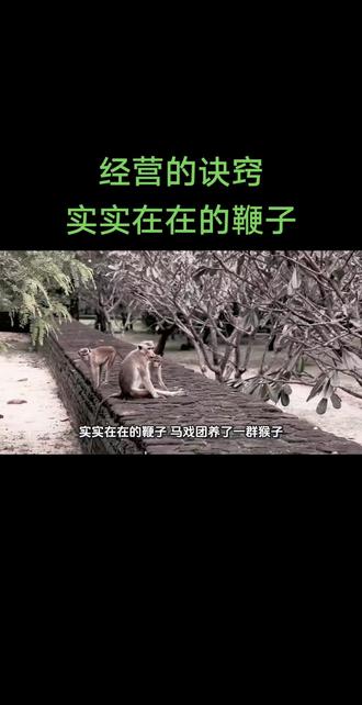 经营的诀窍小故事之实实在在的鞭子