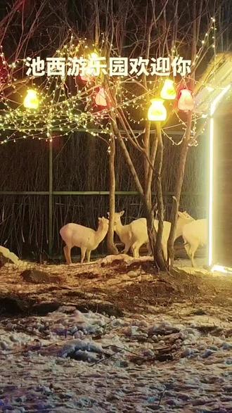长白山脚下池西游乐园欢迎你