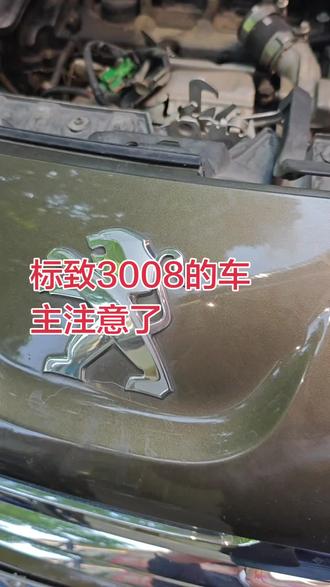 标致3008发电机换轴承,原车质量最好,能修就不要换。