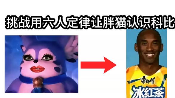 挑战用六人定律让胖猫认识科比#牢大科比 #科比 #六人定律 #月半猫