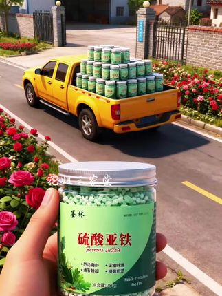 #硫酸亚铁 #花卉养护 #好物推荐分享 #养护小知识 #我要上热们 @DOU+上热门 @上热门🔥🔥🔥 @抖加🔥上热门🔥dou+🔥热点宝
