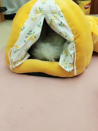 #南瓜猫窝#猫窝#萌宠好物#好物#宠物用品@巨量千川