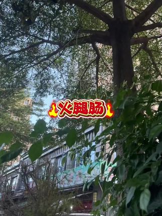 #火腿肠