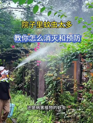 十月的蚊虫依然很多,家里有花园以及阳台小院的,赶紧喷一遍#氯氟氰菊酯 做好蚊虫的防治#虫害防治 #除虫小妙招 #防虫小妙招 #蚊子克星