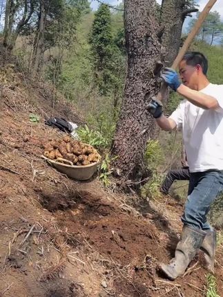#为你煲汤 #乡村味道 #滋补养生 #营养美味