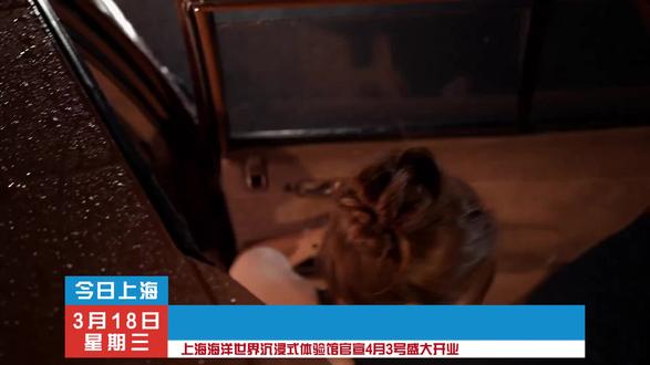 上海超大型海洋世界,上海海洋世界沉浸式体验馆4月3号正式开启,一票包含蔚蓝深海,海底漫游,海底宝藏,豚跃鸢飞,风云变幻,炮火连天,翻江倒海,海上巨怪,蔚蓝秘境,水母奇观,鲸波万顷,深海隧道,悬空未来,日照金山等等项目#亲子游玩好去处 #上海海洋世界沉浸式体验馆 #旅行推荐官 #上海游玩推荐 #黄浦区