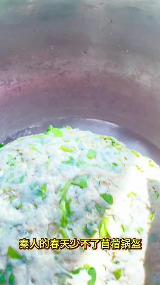 秦人的春天,少不了苜蓿锅盔!#上热门🔥 #陕西美好推荐官 #春天的味道 #苜蓿锅盔