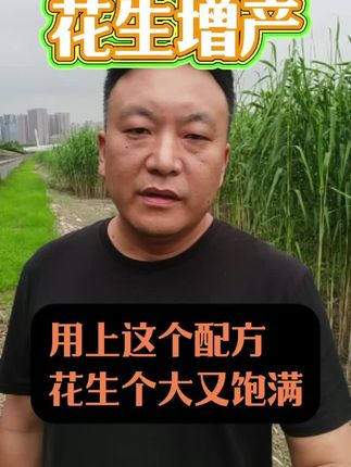 让花生个大又饱满的黄金配方。#花生种植 #花生高产小妙招