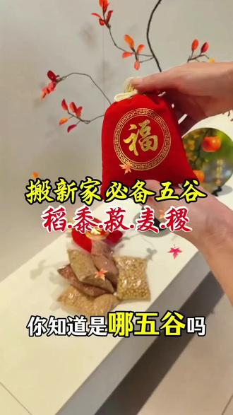 搬新家必备五谷:稻黍菽麦稷 姐妹们记得提前准备上,装在福袋里,乔迁当天放于客厅中间茶几上。#五谷 #乔迁五谷丰登摆件 #搬新家 #乔迁之喜大吉大利 #乔迁布置