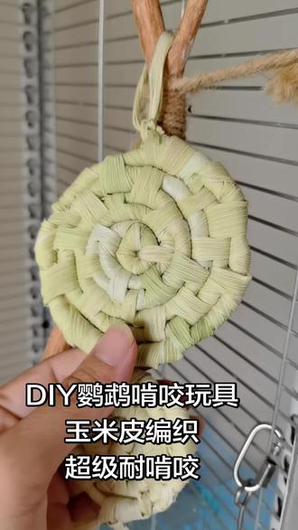 DIY鹦鹉啃咬玩具,用玉米皮编织,超级耐啃咬#纯手工打造 #鹦鹉玩具diy