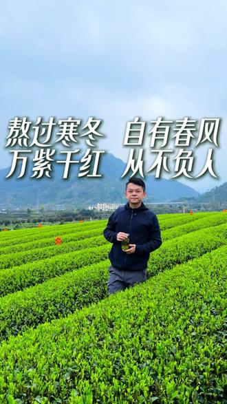 熬过寒冬,自有春风。万紫千红,从不负人。 春日茶园,东风拂面,万紫千红总是春。
这个世界总在催我们赶路、交答卷,可茶树从不慌张,只默默扎根、静静生长。
人这一生,不必焦虑,不必内卷。你熬过的每一个寒冬,都在为春天积蓄力量。
慢慢来,属于你的万紫千红,终会绽放。
评论区分享你的喝茶感受,我等你来。
#茶人茶事茶生活 #爱茶人召唤茶友 #春茶
#创作者中心 #创作灵感