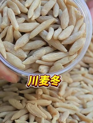 正是吃麦冬好时节,根根肥大,品质好又不贵,就为冲销量和好评#养生茶 #麦冬#川麦冬#强烈推荐