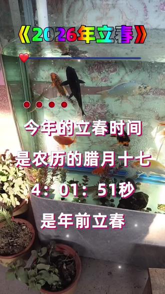 #记录我们的民族风俗文化 六九的第一天是大春