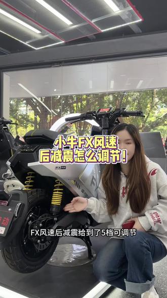小牛FX风速后减震该怎么调节?你们的车是否可以调节?#真赛道很小牛 #创作者中心 #创作灵感 #小牛电动#小牛NX风速
