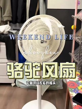#骆驼落地电风扇 #落地电风扇 #骆驼电风扇家用落地扇