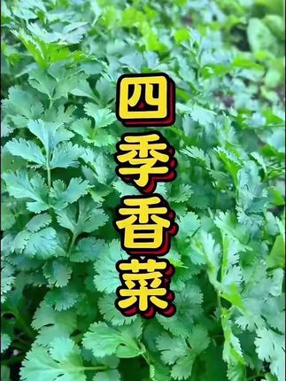 #居家好物