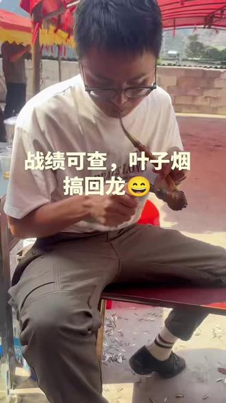 战绩可查,叶子烟回龙,很贵州很夯#贵州 #是时候展现真正的技术了