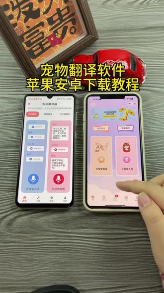 《小邦资源》动物翻译软件下载教程,方便和小动物沟通#动物翻译器 #动物翻译器测试 #动物翻译器下载方法 #动物翻译器正版下载 #动物翻译