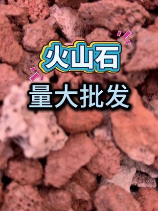 天然火山石,鱼缸铺底造景过滤水质超好用#火山石#鱼缸里的大自然#铺底造景#过滤水质#装饰