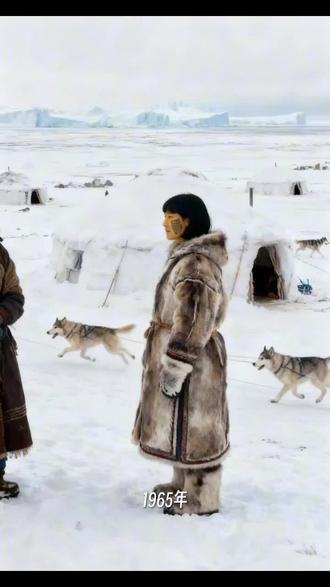 被丹麦统治期间的因纽特人备受煎熬的悲惨命运 #格陵兰岛 #因纽特人 #创伤 丹麦统治格陵兰期间,对因纽特人的伤害集中在20世纪中后期,核心包括强制节育、文化同化实验、土地与家园剥夺及系统性歧视,造成跨代创伤 。其中的强制节育(螺旋行动,1960-70年代)
- 规模与手段:1966-1970年,约4000-4500名因纽特女性(占育龄女性约一半)被植入宫内节育环,多未经本人或监护人同意;最小受害者仅12岁,常借“体检”实施。
- 动机:丹麦官方文件称控制人口是“降低行政成本必要手段”,以削减福利开支。
- 后果:身体伤害、长期疼痛、并发症,部分女性被迫切除子宫、终身不育;伴随羞耻感与心理创伤,甚至多年后才发现体内有节育环。