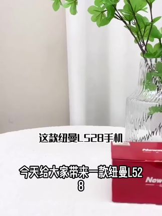 纽曼L528全网通4G学生手机无游戏微聊定位老人手机大字大声老年机