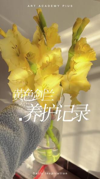 我有热烈的黄色剑兰!#爆花 #剑兰 #生命力 #花与生活