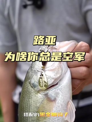 #路亚 #路亚钓鱼 #名洋路亚飞旋亮片