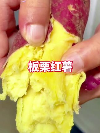 果肉特别地粉,干面粉甜,真的好好吃!#优质农产品#口感特别好#软糯香甜#太好吃了 #板栗红薯@DOU+上热门