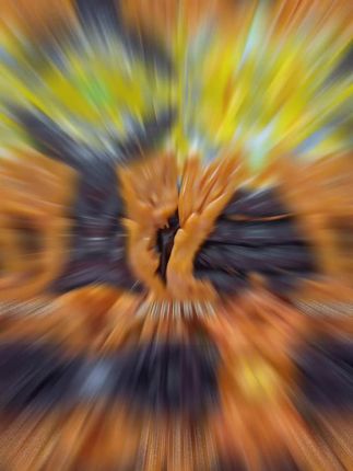 平时买不到这个价这个鸭爪,太便宜了,还能领红包!