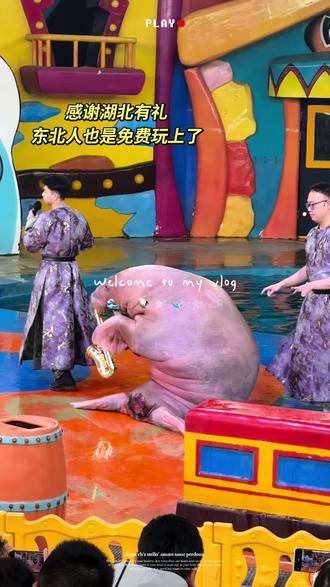 免费的事情也让我摊上了
东北到长沙再到武汉明天回家啦
谢谢#神奇动物在抖音
#玩啥我们都认真 #奇妙的动物 #湖北极地海洋世界
