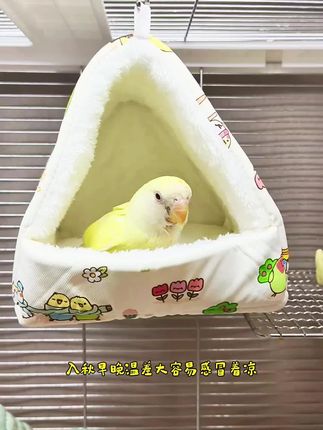 早晚温差比较大,鸟宝容易感冒着凉,棉窝我都是提前准备#鹦鹉 #鹦鹉日常 #鹦鹉保温鸟窝 #鹦鹉保暖窝 #鹦鹉棉窝