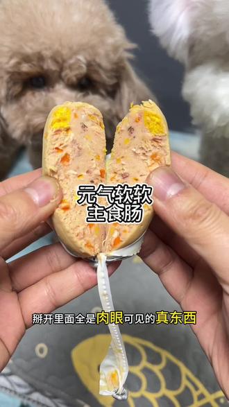 就算没牙的小狗也能吃的主食肠,可以直接代替狗粮关键配料还营养均衡#元气软软主食肠#狗狗火腿肠 #狗零食 #萌宠好物 #科学养宠攻略