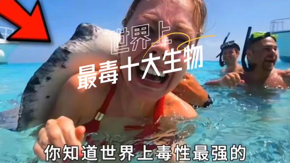 世界最毒十大生物 #动物世界 #动物世界 #毒